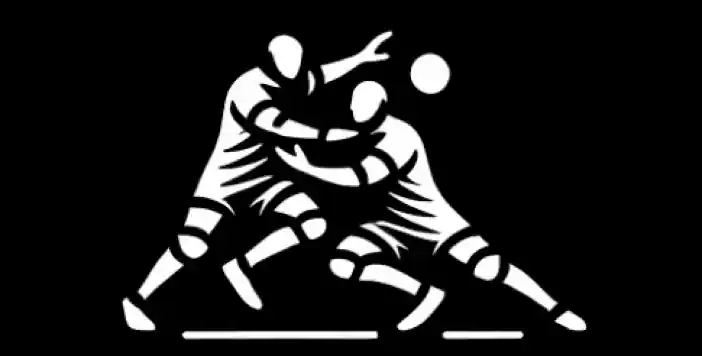 kabaddi pro